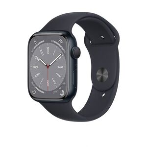 Apple Smartwatch in Black and Gray
